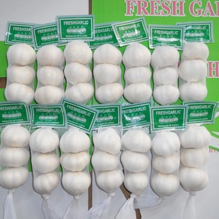 Poukisa se Premium Fresh Garlic Chwa Prefere pou Achtè ki Konsyan Kalite?