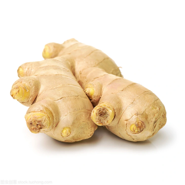 Poukisa se Premium Fresh Ginger Chwa Prefere pou Achtè ki Konsyan Kalite?