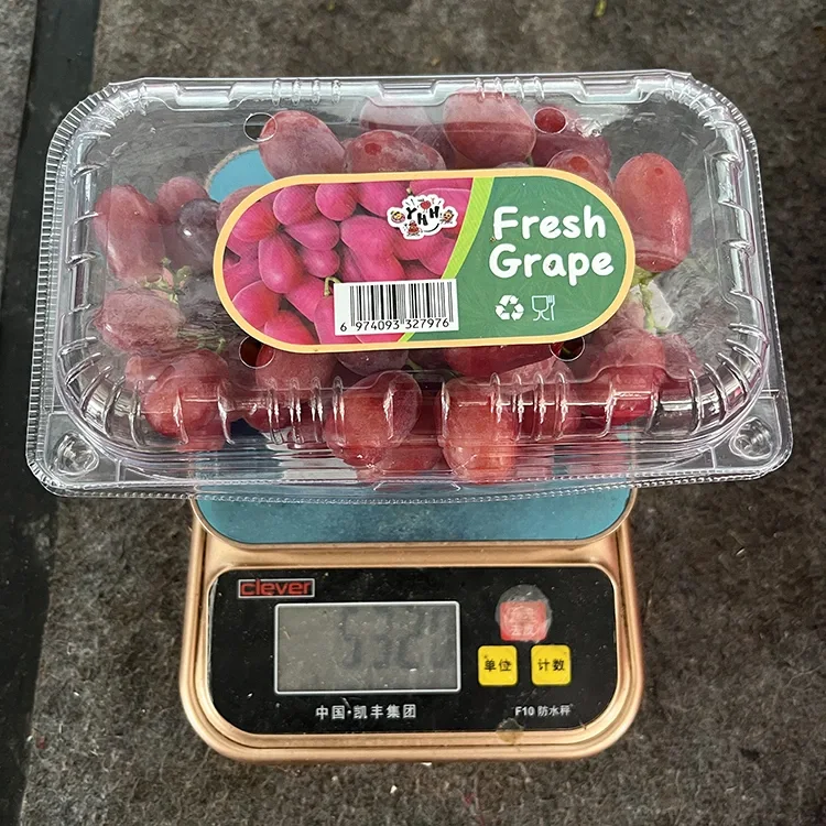 Ekspòtasyon Grade Fresh Crimson Seedless Grapes