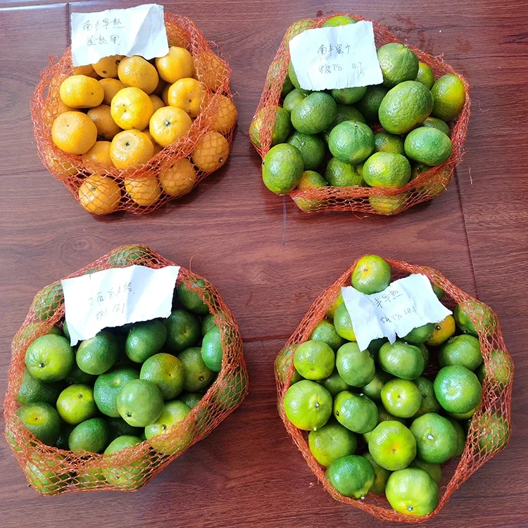 Fresh siwo myèl mandarin