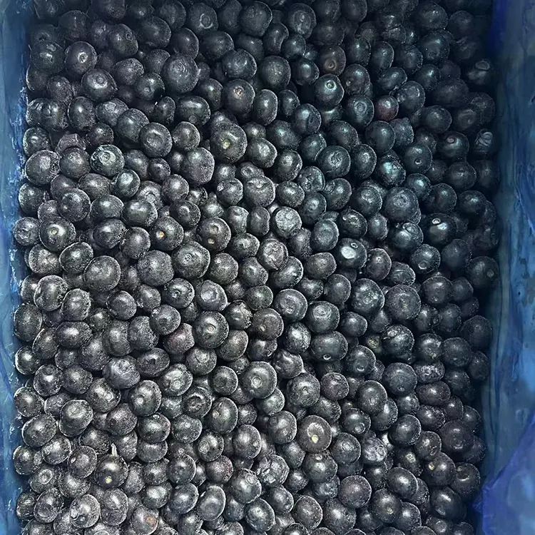 Jele Mitil Premium IQF Mitil