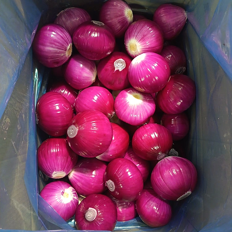 Segondè Kalite zonyon kale