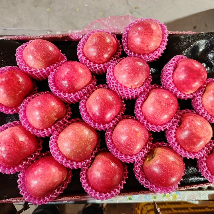 Siperyè pòm Jiguan fre