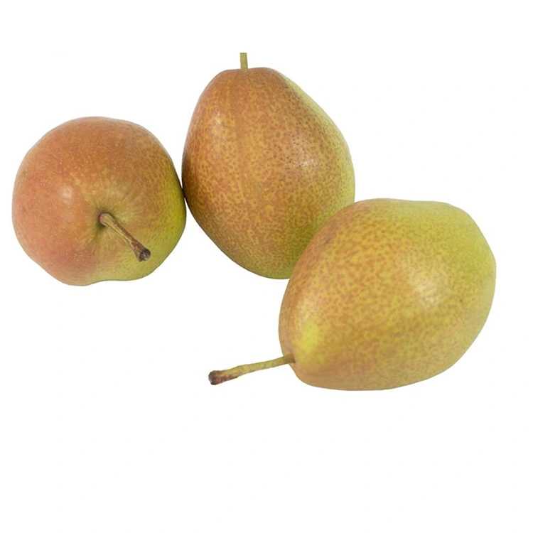 Siperyè bon jan kalite fre Hongxiangsu pwa
